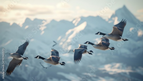 A flock of Canadian geese flying in the sky