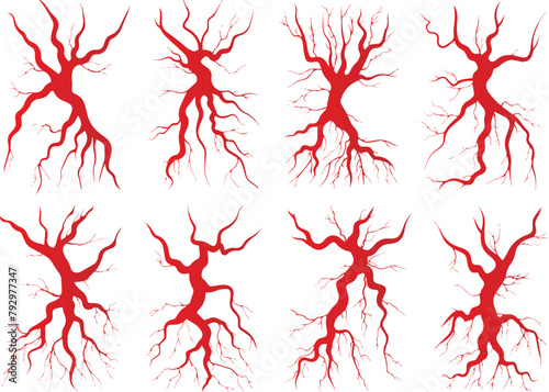Vector illustration of human vascular system: Detailed depiction of arteries, veins, and capillaries with heart and eye, showcasing blood circulation and varicose veins