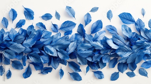  A cluster of blue leaves lies on a white background; one detaches from the top
