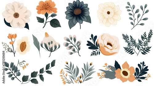A botanical illustration set of various flowers and leaves in a modern, stylized form, expressing artistic charm