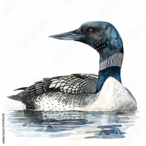 Artistic illustration of a common loon bird serenely floating on the water, detailed and lifelike.