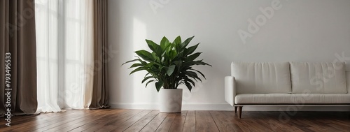 Plant on rattan pouf in living room