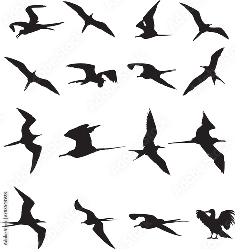 Print Frigate Bird Silhouette; Hawaii Bird EPS; Great Frigate Bird; Iwa Bird; Bundle EPS Clipart; Great Frigate Bird Vector; Ocean Bird 
