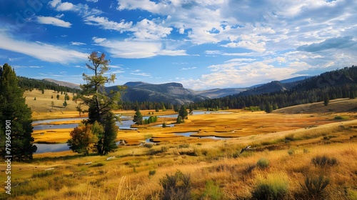 Autumn landscape in Yellowstone, Wyoming, USA