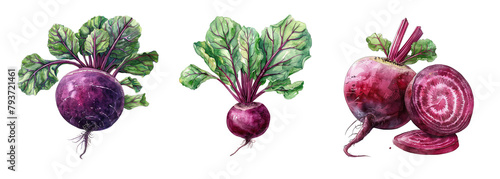 Collection of beetroot isolated on transparent background. Generated Ai