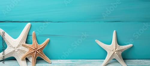 Two starfish sit blue wood table
