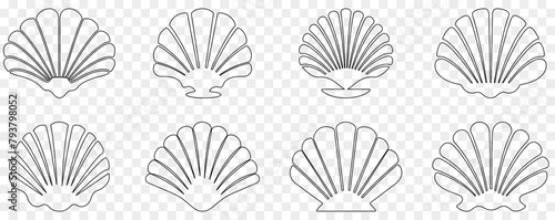 Set of seashell outline icons. Vector illustration isolated on transparent background