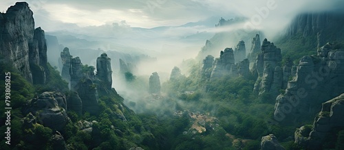 Misty mountains showcasing lush forest