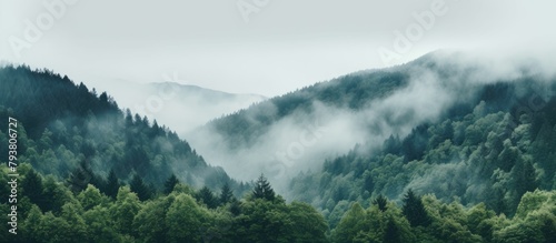 A serene view of a lush forest with scattered trees and a majestic mountain backdrop