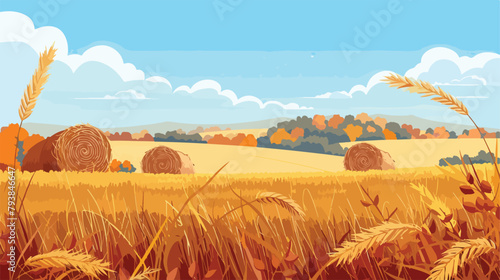 Autumn landscape. Fields with crops wheat golden ripe