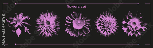 Set of colors with a retro photocopy effect. Flowers, chamomile, aster, with a grain effect. A modern Y2K illustration.