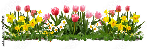 Set of spring flower beds, each bursting with tulips and daffodils against fresh green leaves, isolated on transparent background