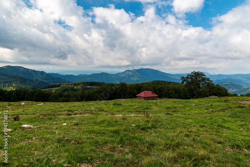 Isolates chalet for sheep helder on meadow with forest around and higher hills on the background in Carpathian mountains in Romania