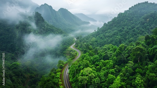Aerial view of a winding road through a green forest and mountains, aerial photography drone shot with a high resolution top down view, landscape photo panoramic photograph