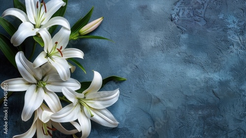 branch of white lilies flowers, mourning or funeral background, condolence card with copy space for text