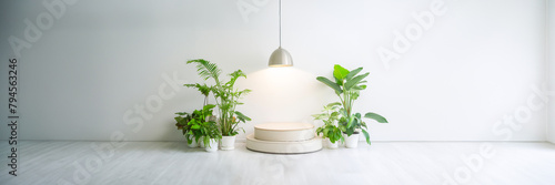 podium with a lamp and vegetation plants in a clear white room
