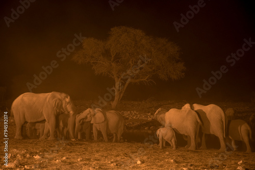 Africa, Namibia , Etosha National Park. A big herd of Elephants at a waterhole at night.