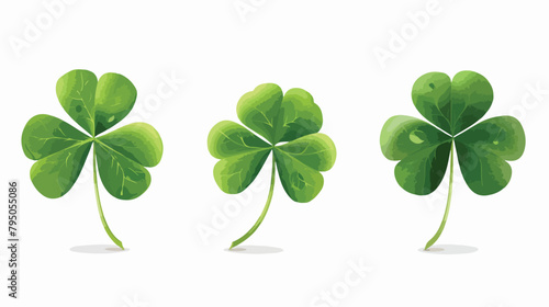 Three leaf green clover an attribute to St. Patricks
