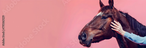 Smiling horse receiving massage from therapist web banner. Horse in therapy on pink background with copy space.