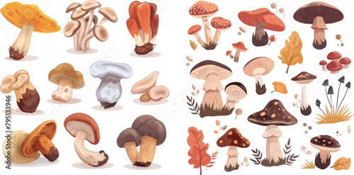 Forest ceps. Cartoon oyster mushrooms, autumn harvesting mushroom, wild amanita, tasty shiitake boletus