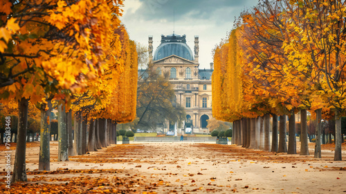 Yellow autumn trees in Tuileries Garden ne Louvre 