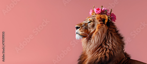 Portrait of a lion in a golden crown on a pink background with copy space. Banner template of the king of beasts.