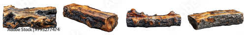set of tree trunk logs isolated on transparent background 