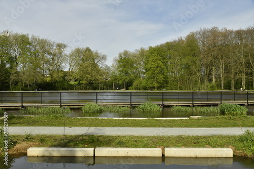 Passerelle au raz de l'eau séparant l'étang principal et la partie biologique au Vrijbroekpark à Malines 