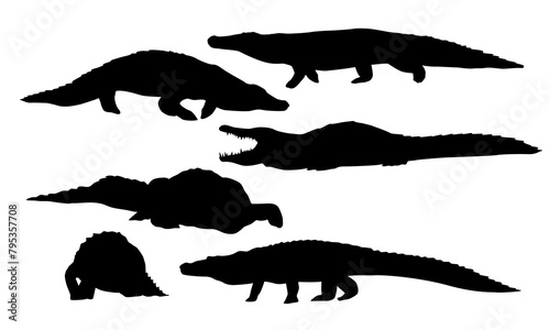 Set of Nile crocodile silhouettes. Wild reptile of Africa. Realistic wild vector animals 