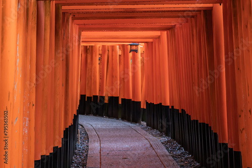 Thousands of red torii gates at Fushimi Inari Shrine in Kyoto, Japan