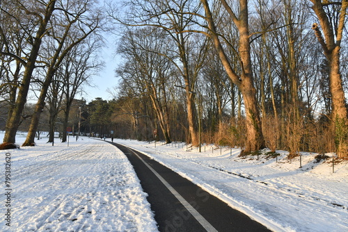 Bande étroite dégagée d'une route enneigée sous la lumière du coucher de soleil au bois de la Cambre à Bruxelles 