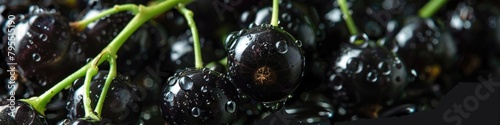 A cluster of blackcurrants glistens with droplets of water in a dramatic macro shot