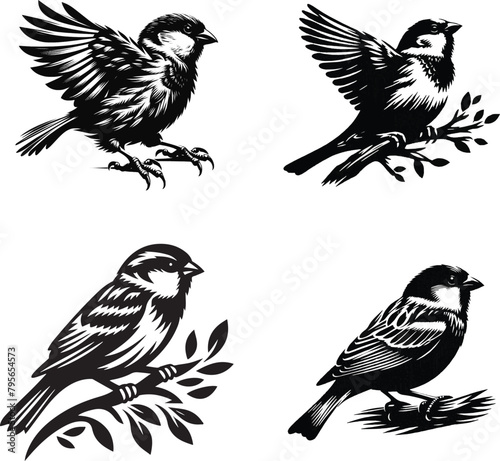 sparrow silhouette , sparrow black vector, sparrow vector png, sparrow black vector 