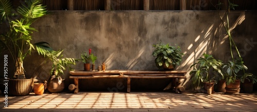 wooden bench and plants in pots on the floor in the room