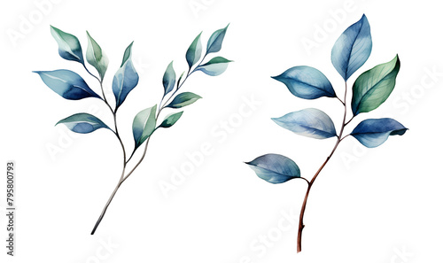 Branch leaf, sea, watercolor clipart illustration with isolated background.