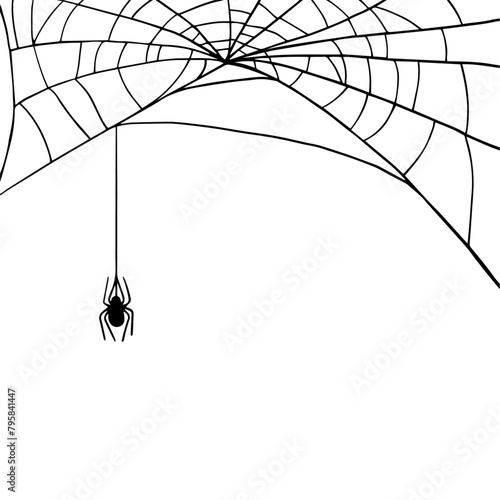Linear sketch of a corner web with a spider.Vector graphics. 