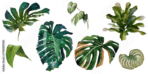 Watercolor tropical leaves set