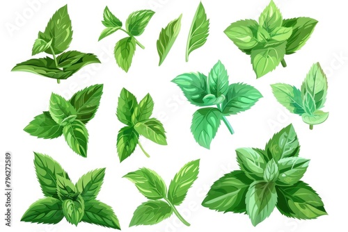 A bunch of green leaves on a plain white background. Suitable for nature and environmental concepts