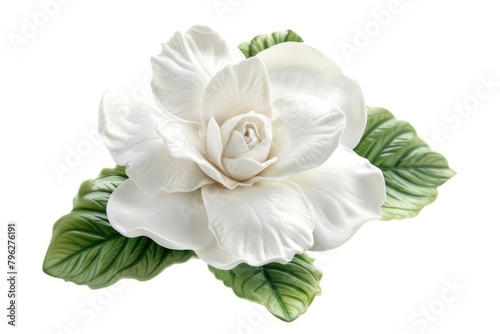 Pure Elegance: Isolated White Gardenia Blossom with Delicate Flower Petals