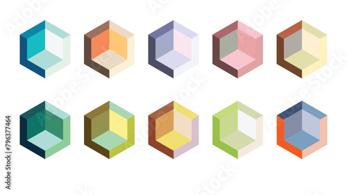 Polygon isometric with colorful vector