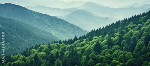 Mountain Range with Sparse Trees