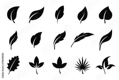 Leaf icons set .Leaves of trees and plants. Leaf silhouette. Leaf Collection. Leaf vector .Decoration elements design, eco, bio, vegan labels. Vector illustration.