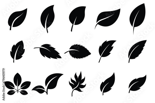 Leaf icons set .Leaves of trees and plants. Leaf silhouette. Leaf Collection. Leaf vector .Decoration elements design, eco, bio, vegan labels. Vector illustration.