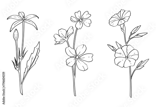 Three kinds of beautiful flower stalks