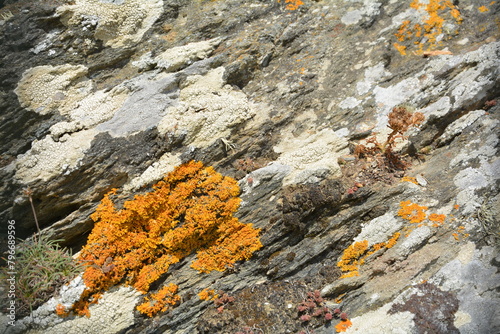 texture roche