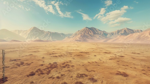 This is a beautiful landscape image of a vast desert with mountains in the distance. The foreground is a sandy desert with a few small plants growing.