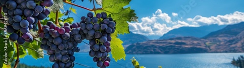 Ripe grapes on the vine with scenic lake and mountain backdrop