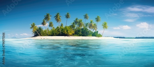 Tropical island beach with swaying palms