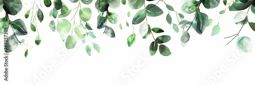 Eucalyptus Leaves Frame on White Background Generative AI