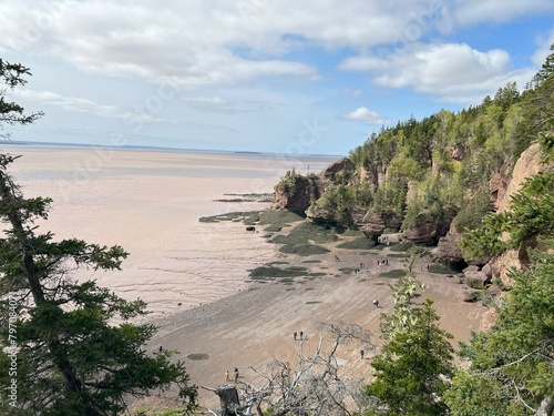 Tidal Wonders: Exploring Hopewell Rocks in New Brunswick